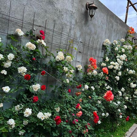Hillside Guest House 耶烈万 外观 照片